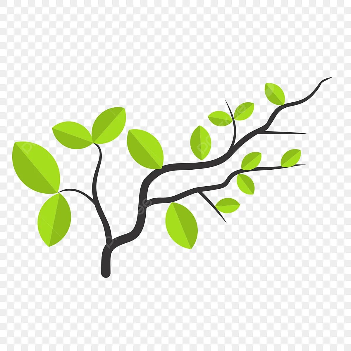 Branch lives