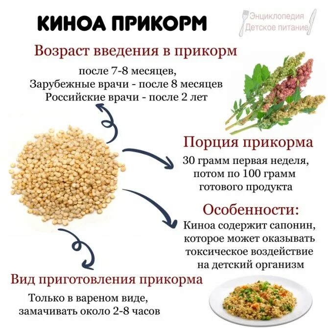 Киноа пропорции воды. Киноа каша калорийность на 100. Состав крупы киноа. Чем полезно киноа. Чем полезна киноа.