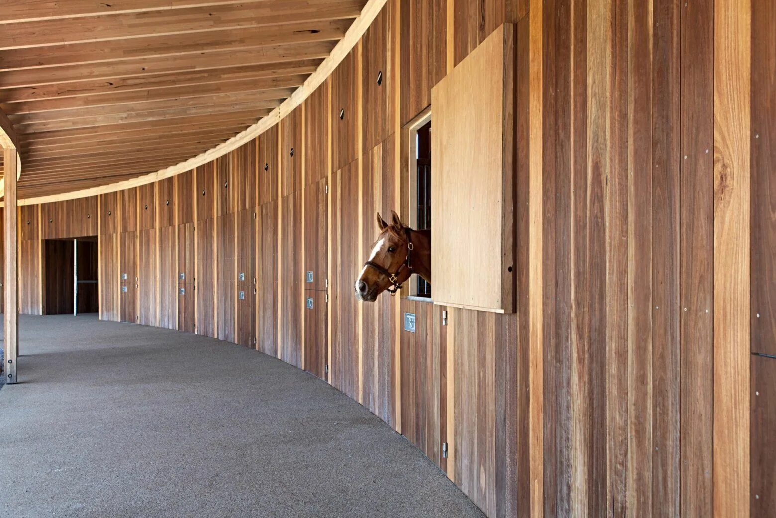 Конюшня считавшаяся самым большим зданием. Конюшни Westphalian stables архитектура. Конюшня Solana stables. Конюшня «la Victoria». КСК изумрудный лес конюшня.