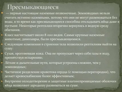 Первые истинно наземные животные