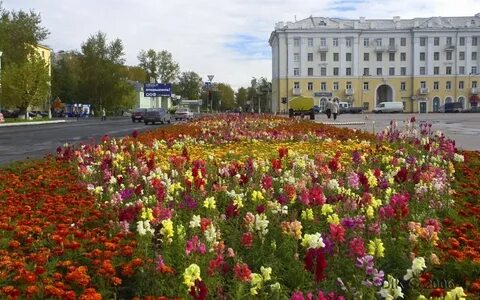 Целая площадь цветов