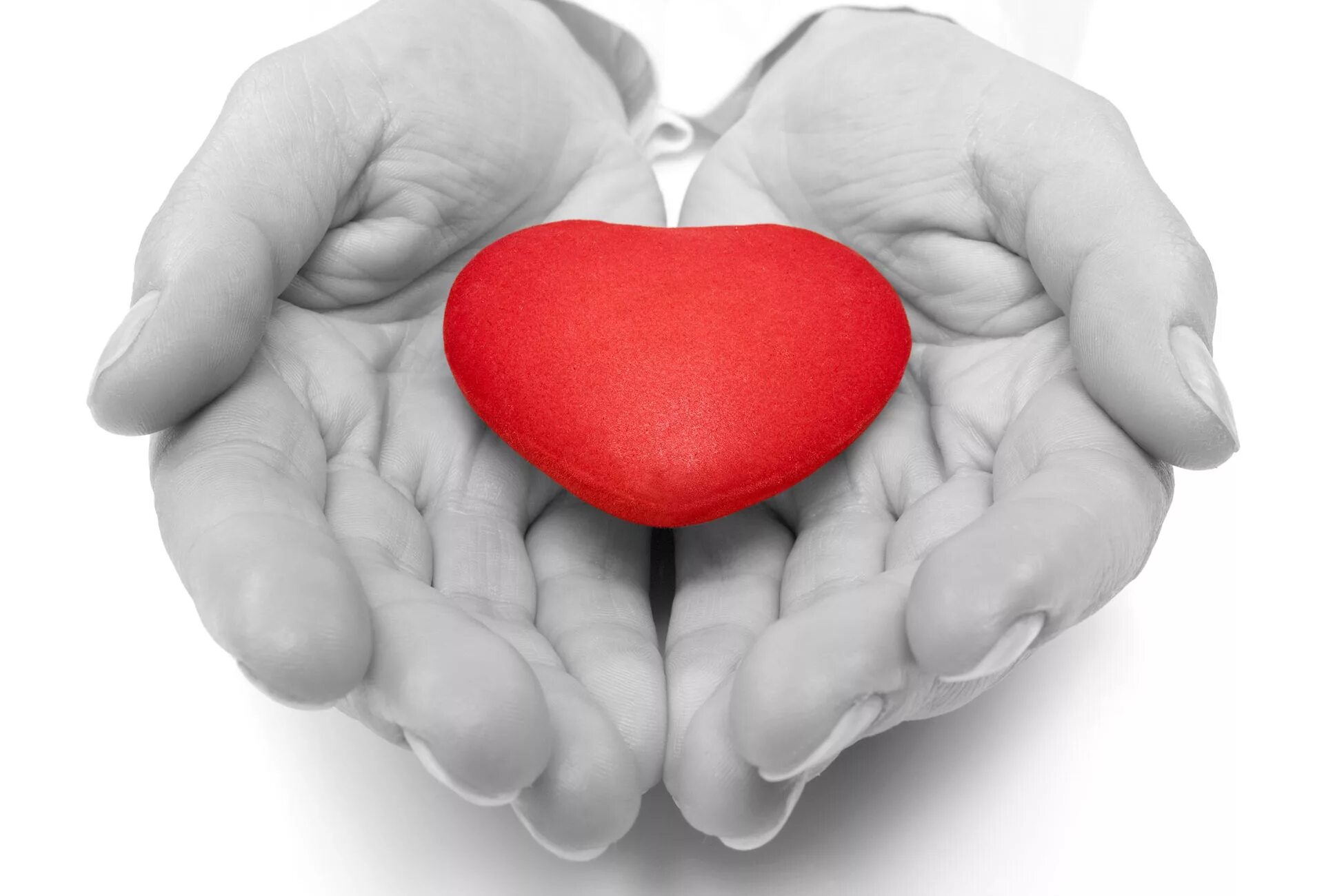 Предложить сердце. Сердце в руках. Сердце благотворительность. Благотворительность руки сердце. Сердечко в ладонях.