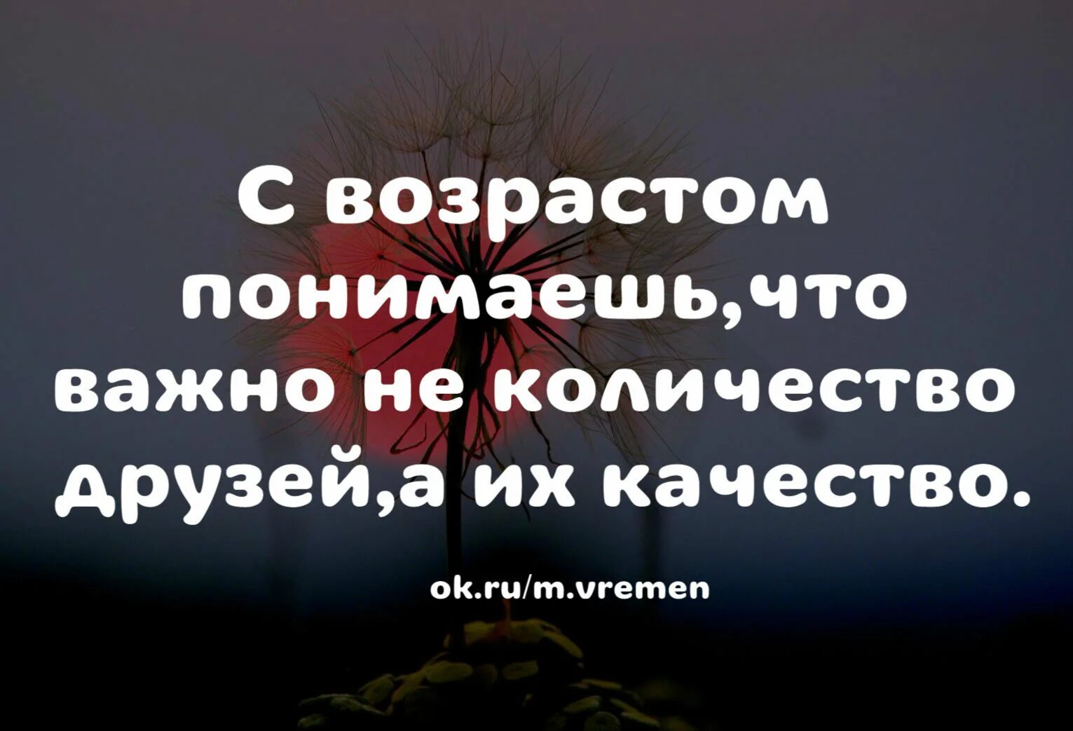 Друзей выбираем мы сами цитаты. Друзей выбираем мы сами но лучших оставляет время. Друзей выбираем мы сами но лучших. Друзей выбираем мы а лучших оставляет время. Как нужно выбирать друзей