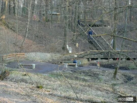 Родник лебедь в парке покровское-стрешнево. Родник лебедь покровское стрешнево. Парк покровское-стрешнево родник. Родник царевна-лебедь в усадьбе покровское-стрешнево. Покровское стрешнево 2022.