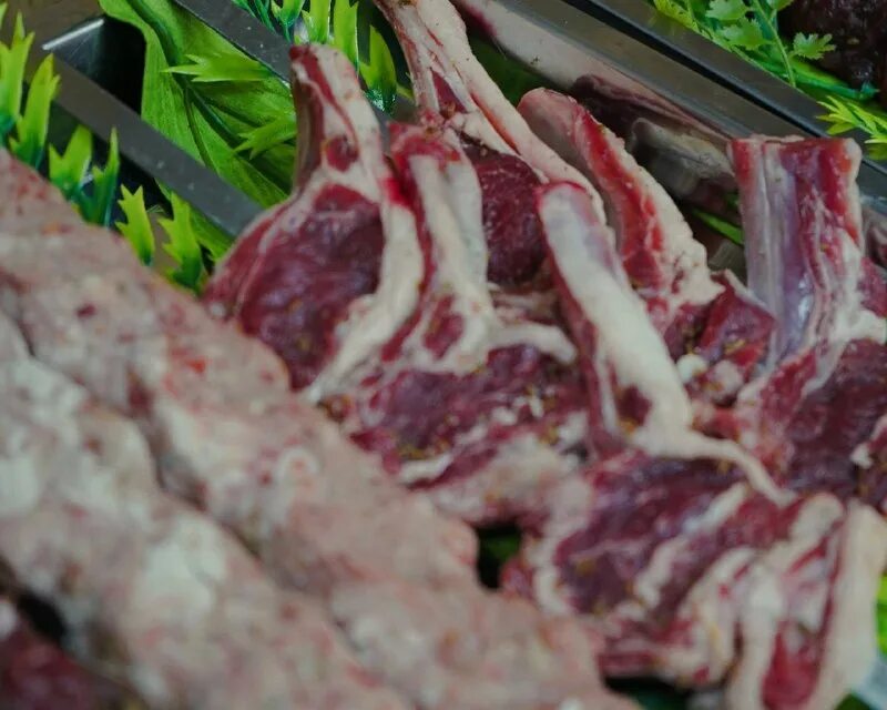 шашлык тахтача в худжанде. семга на гриле при свечах. шашлык тахтача исфара. шашлык тахтача в худжанде. шашлык худжанд в тюмени.