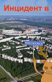 День краснообска