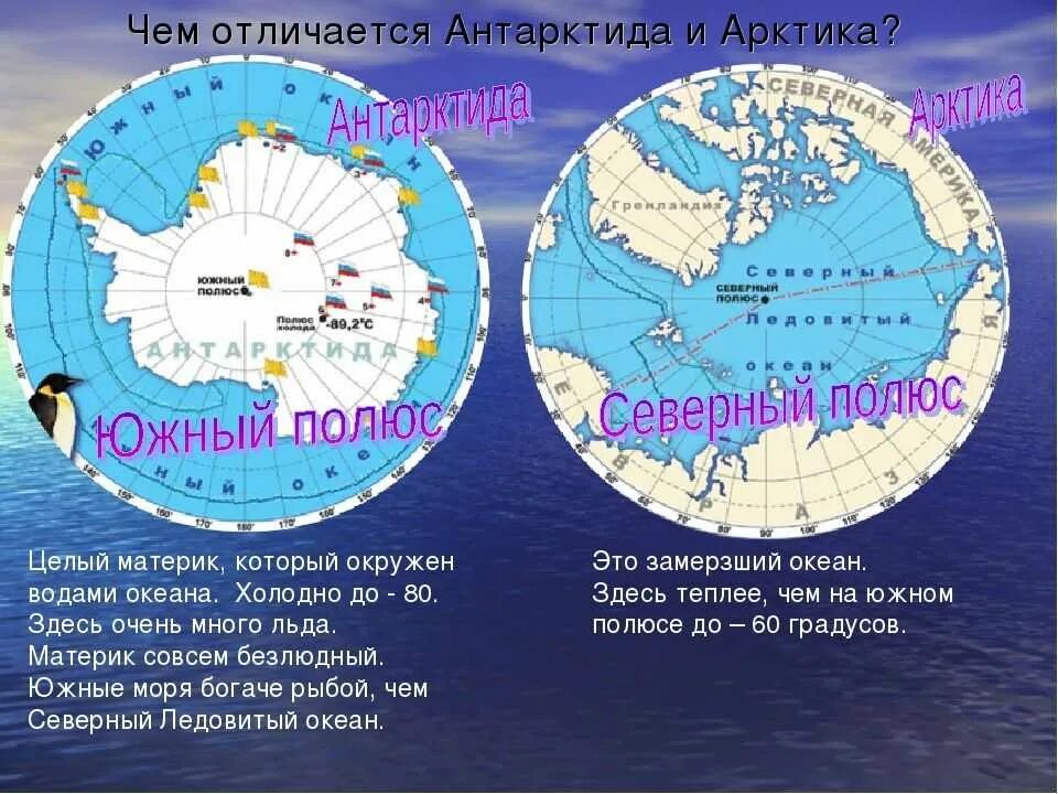 Южный тропик пересекает антарктиду