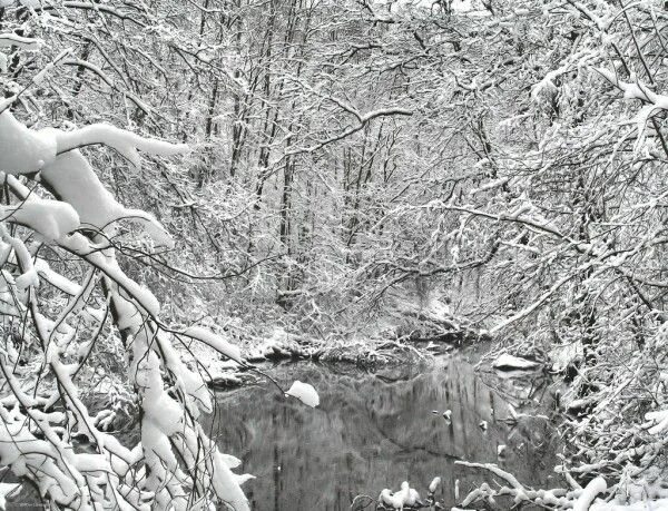 Фото сюр зима. Зимняя сказка. Чародейкою зимой. Финский фотограф. Is winter beautiful