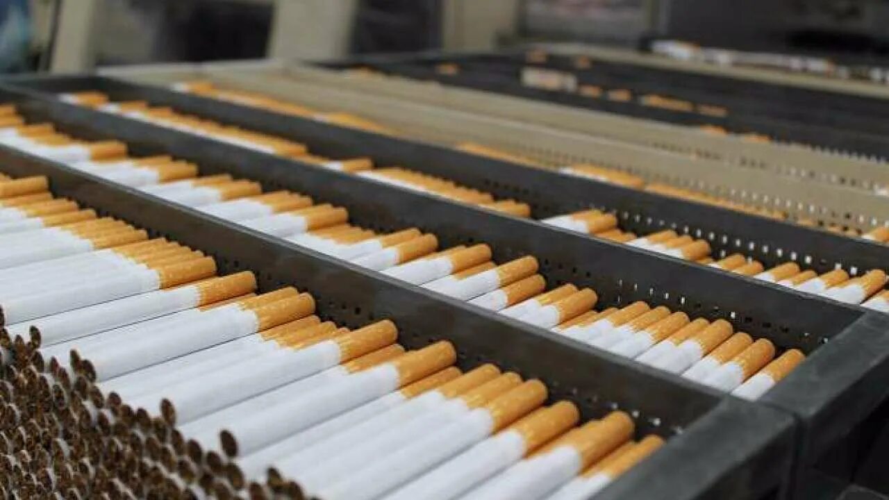 Табачная фабрика Филип Моррис. Филип Моррис производство сигарет. Самаркандская сигаретная фабрика. Табачная промышленность. Купить табачную фабрику