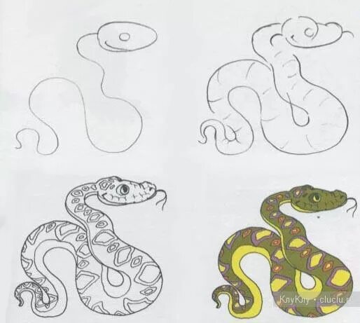 Как изучить змею. Рисунок змеи для детей. Змея поэтапное рисование. Поэтапный рисунок змеи. Схема рисования змеи для детей.