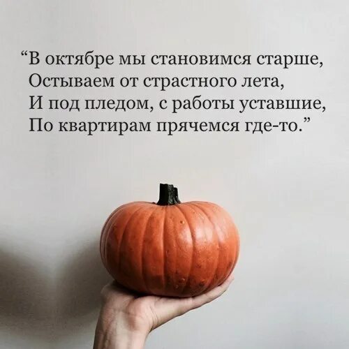 Джикки виан в октябре мы становимся старше. В сентябре мы становимся старше автор. Путешествия осенью. В сентябре мы становимся старше. Сон цитаты про сон собак.