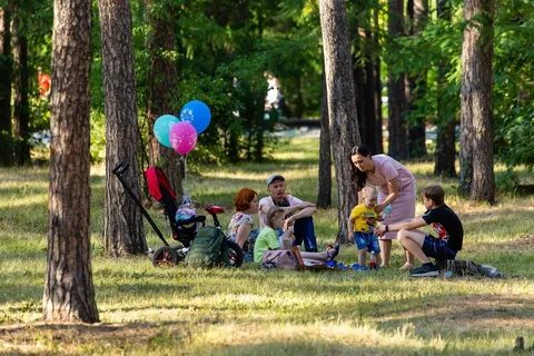 День семьи куда сходить
