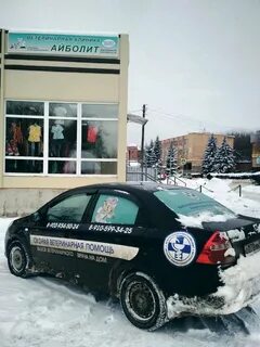 Айболит калуга отзывы