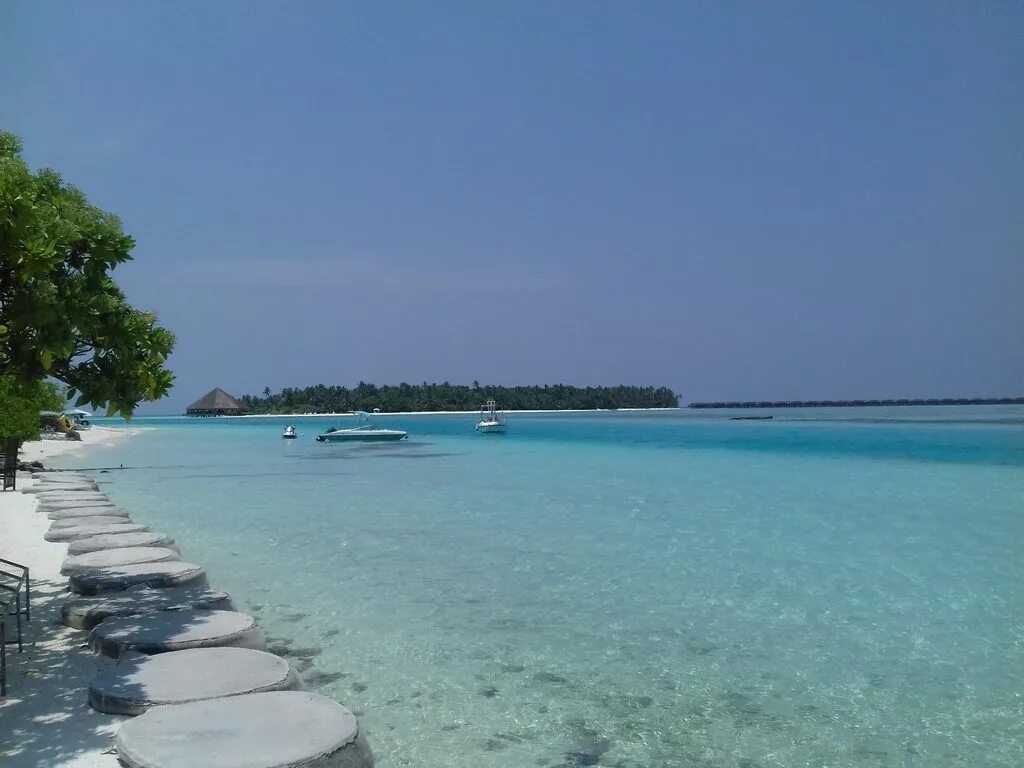 Остров Тулусду Мальдивы. Остров Тодду остров дифушши. Диффуши. Пляжи Тулусду. Local island