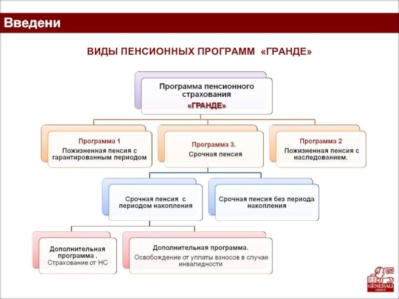 Виды пенсионных программ. Программы пенсионного обеспечения. Виды пенсионного страхования. Программы пенсионного накопления.