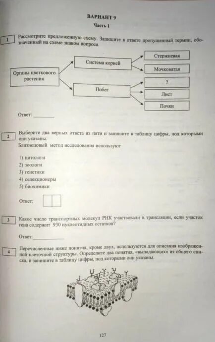 Промежуточная аттестация по биологии 11 класс. Г.С.Калинова биология ЕГЭ 2019. Метод биологии ЕГЭ. 16 Задние ЕГЭ русский схема. Решение задач на клеточное дыхание по биологии ЕГЭ 2023.