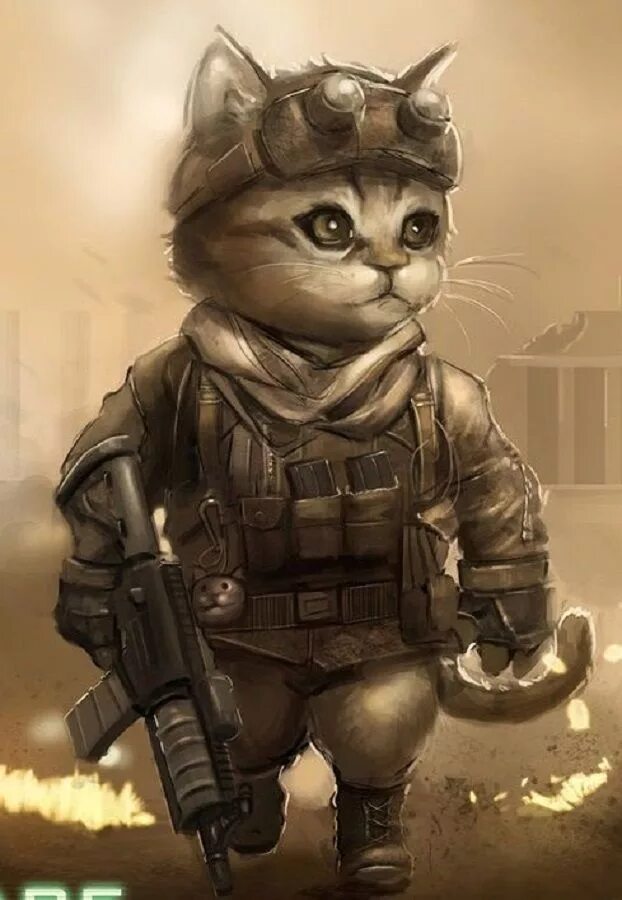 Army cat