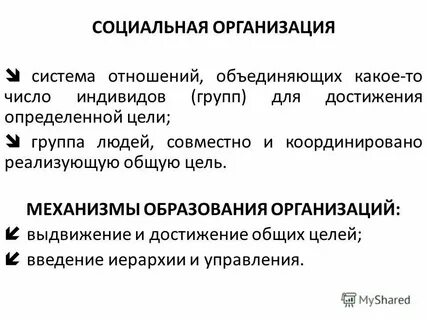 В основе социального управления лежат