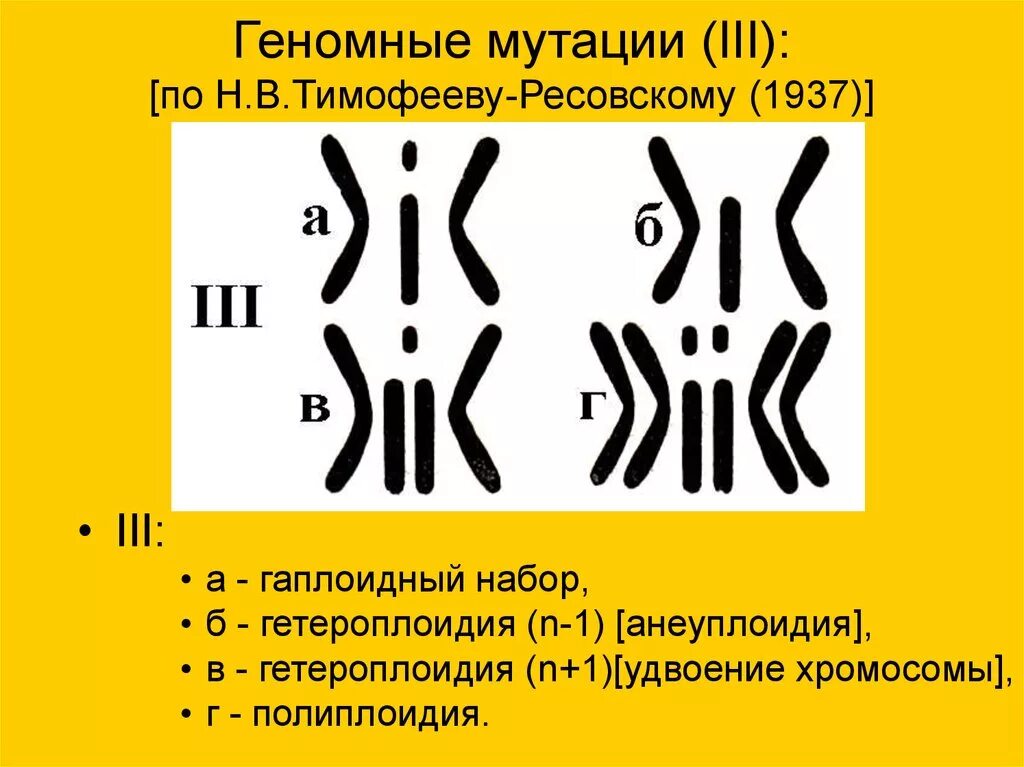 Уменьшение числа отдельных хромосом в кариотипе
