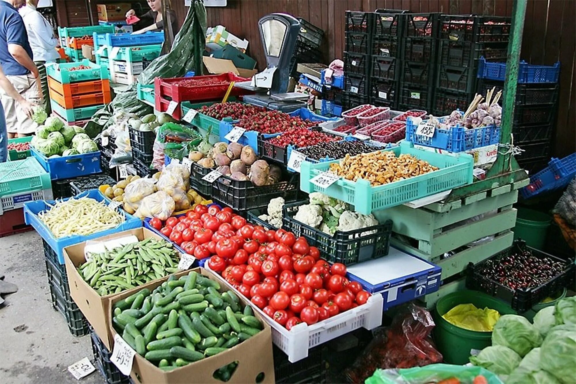 Овощи на рынке. Прилавок на рынке. Овощной прилавок на рынке. Торговля овощами на рынке.