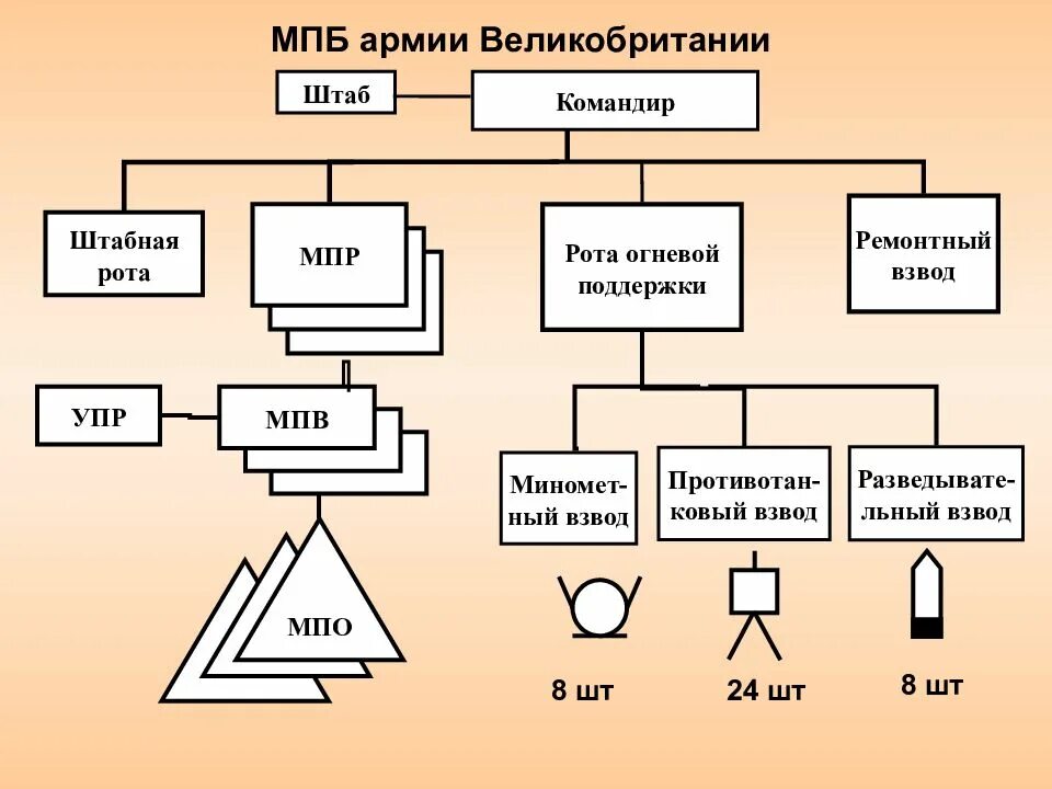 Организационно штатная структура армии Великобритании. Организационно-штатная структура мотопехотного батальона армии США. Структура вс Великобритании. Структура роты.