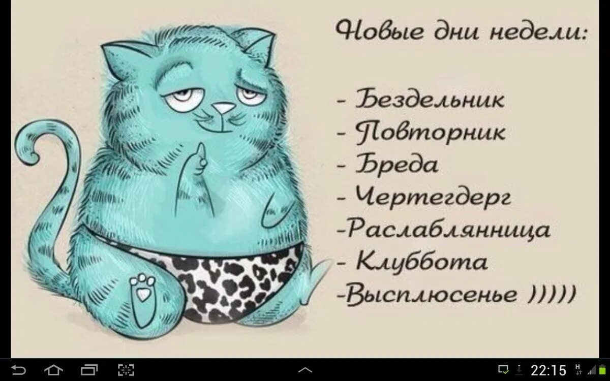 Дни недели кот