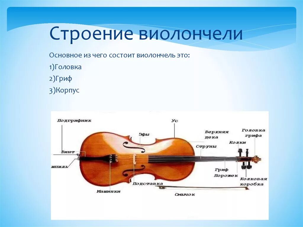 Альт скрипка контрабас виолончель строение. Строение Альта инструмент. Строение смычка для скрипки. Строение контрабаса схема. Скрипки карта