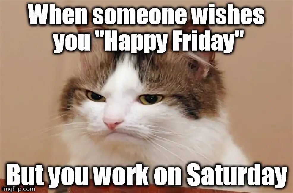 When are you sitting next friday. Working on saturday. in saturday или on saturday. happy when someone happy. friday work.