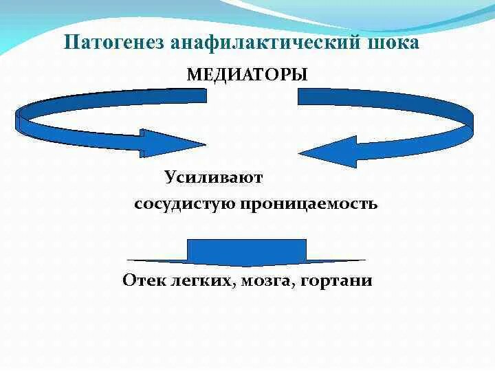 Анафилактический ШОК механизм развития схема. Патогенез анафилактического шока. Анафилактический ШОК этиология. Анафилактический ШОК патогенез презентация. Анафилактический шок патогенез