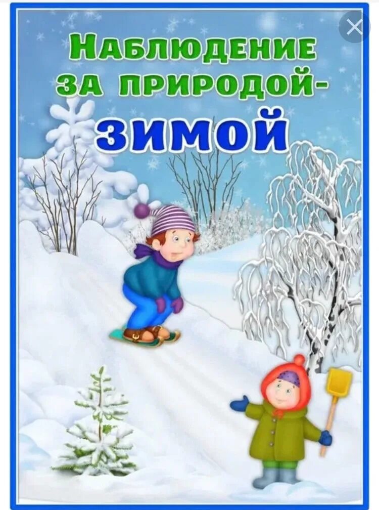 Мл гр наблюдение. Консультация наблюдения за природой зимой. Наблюдение зимой картинки. Наблюдения с детьми зимой. Зимние наблюдения на прогулке.