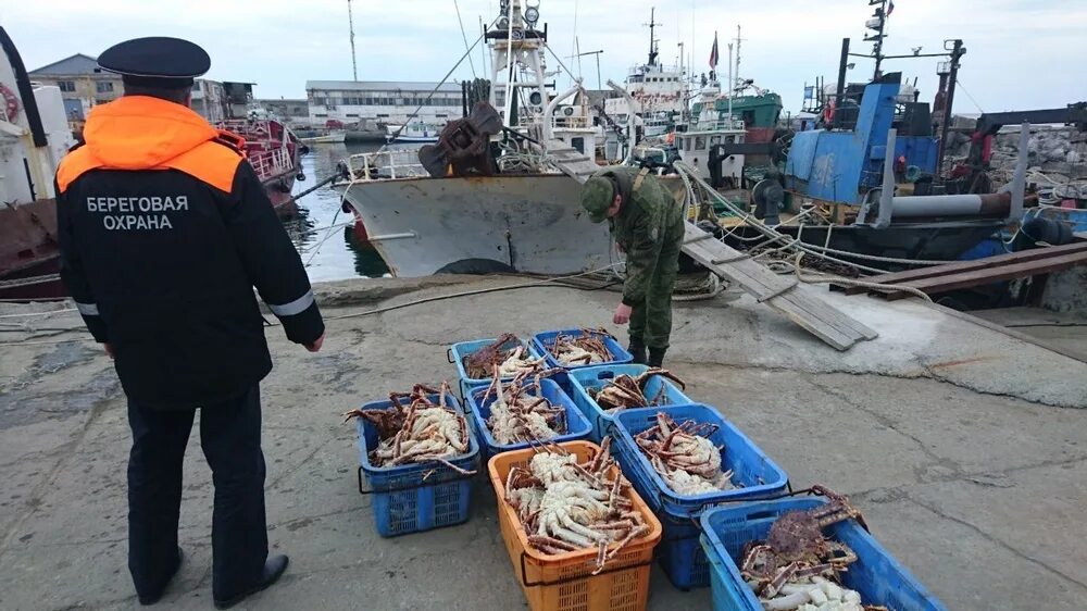 Добыча рыбы. Незаконный рыбный промысел. Рыболовство и охрана рыбных запасов. Браконьерство на Дальнем востоке. Канал промысел