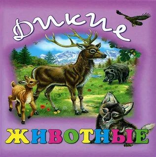 10 запросов о диких животных