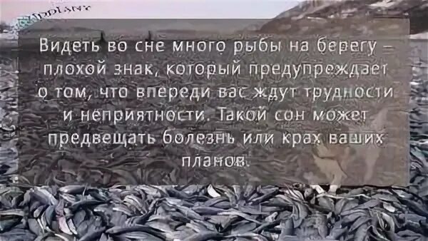 К чему снится много свежей рыбы женщине. Сонник много рыбы. Видеть во сне рыбу. Видеть во сне много рыбы. Приснилось поймал много рыбы.