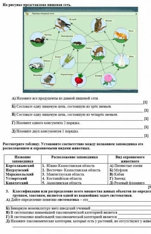 Сельскохозяйственные продуценты. Продуценты в сельском хозяйстве. Пищевая цепь продуценты. Пищевая цепь сельскохозяйственного угодья. Какие организмы называют продуцентами биология