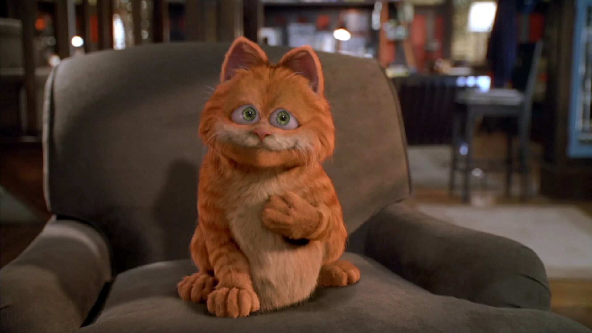 кот гарфилд 1. про кота гарфилда. про кота гарфилда. гарфилд порода кота. гарфилд одди 2004.