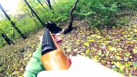 Стрельба в лесу