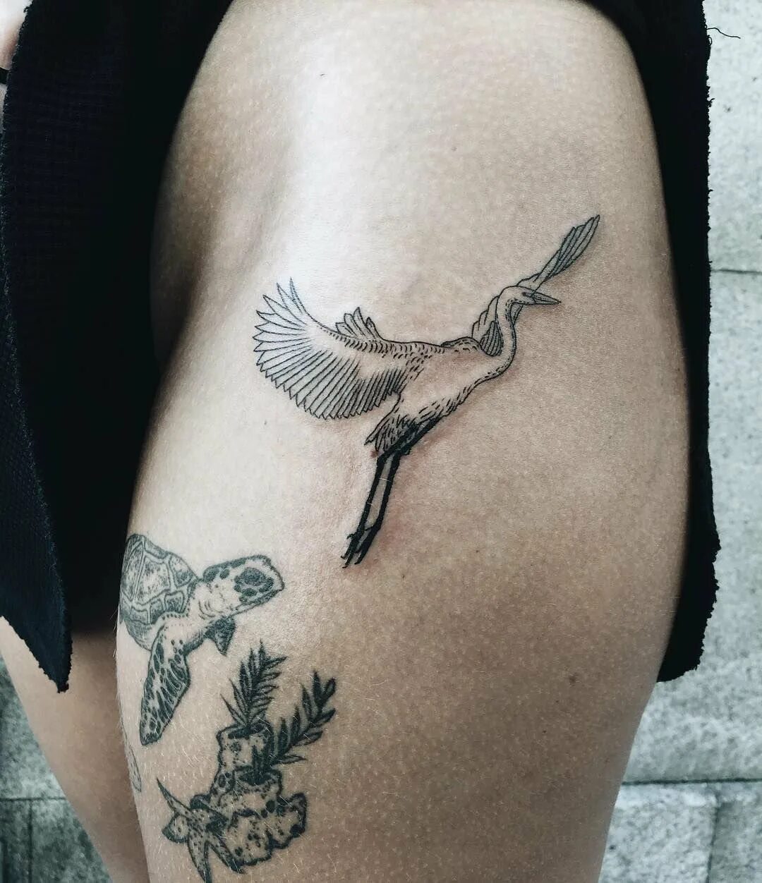 Птица на плече. Тату журавль. Тату аист. Тату аист. Тату аист.