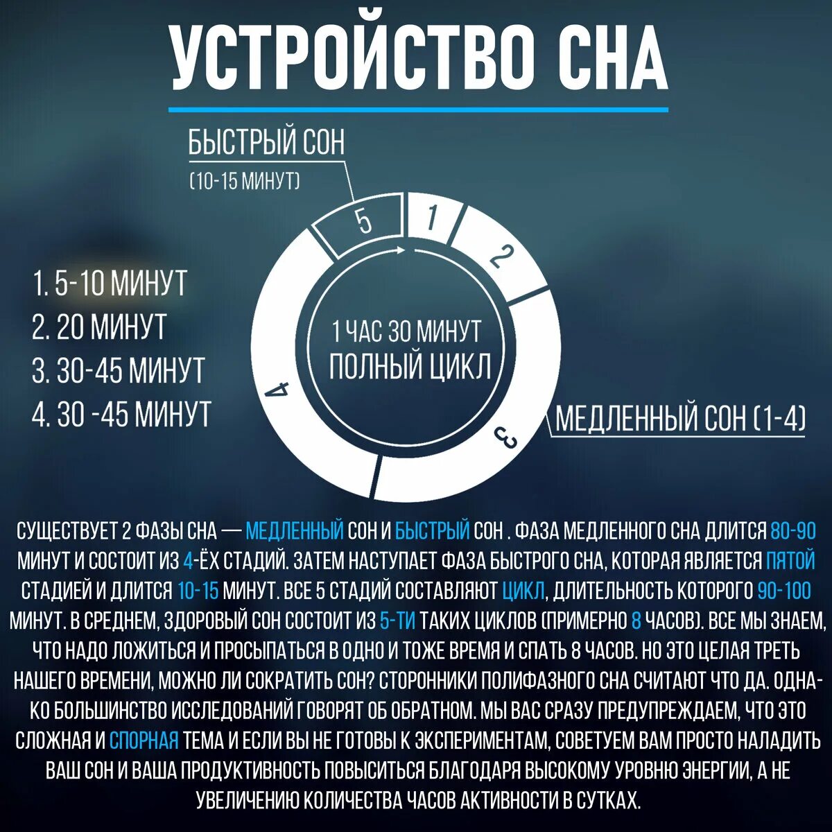 Полифазный сон. Система сна. Схемы полифазного сна. Фазы сна инфографика. Как проснуться через час