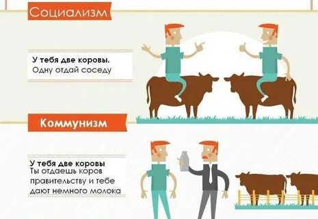 Корова отдала