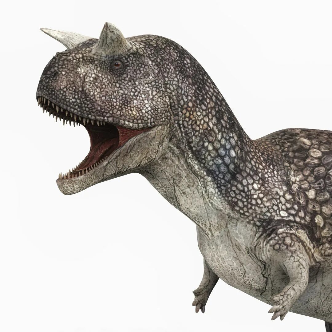Большой ал 2. Карнотавр 3д. Carnotaurus 3d model. Аллозавр большой ал. Динозавр 3д модель.