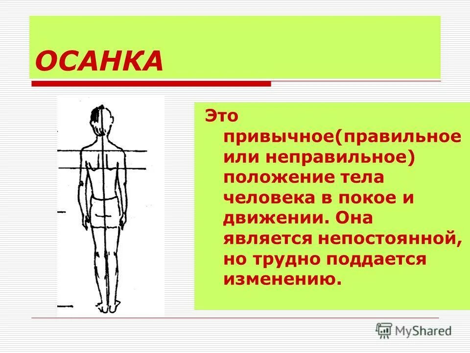 Анатомическое положение тела человека. Положение тела является. Положение тела является. Положение тела является. Правильная осанка.