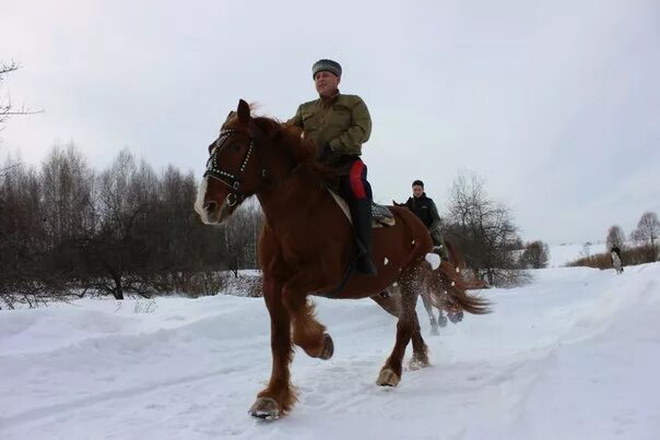 Станица Вольная конный клуб Нижний Новгород. КСК станица Вольная. КСК станица Руза. Станица Вольная конный клуб Ржавка.