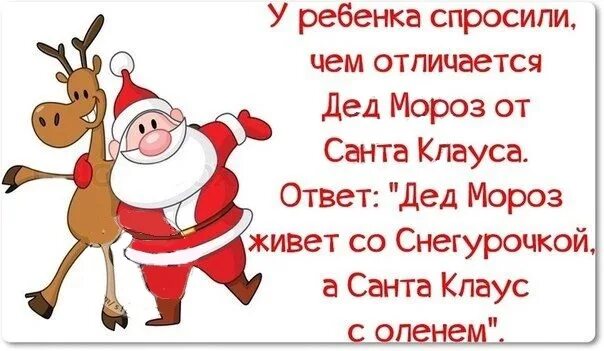 Новогодние анекдоты. Шутки про новый год. Смешные фразы про новый год. Афоризмы про новый год. Дед мороз не пришел он забыл