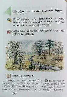 Окружающий мир ноябрь