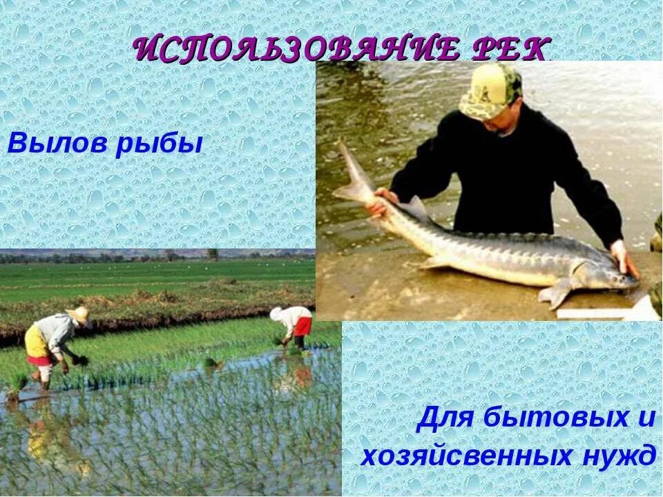 Как человек использует реку амур. Использование рек. использование реки человеком. использование реки дон человеком. хозяйственное использование реки дон.