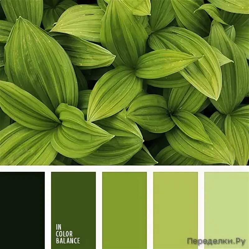 Зеленая гамма цветов. Палитра зеленых оттенков. Цветовая палитра зеленого цвета. Цветовая раскладка зеленый.