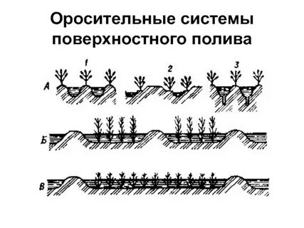 Перечислите виды орошения