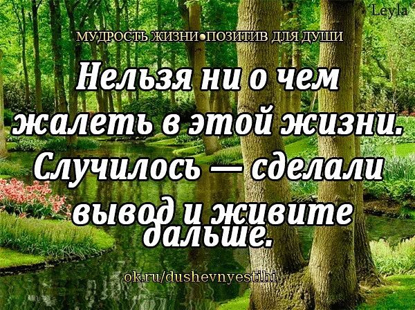 Правил мудрой жизни. Мудрость жизни. Мудрость жизни в картинках. Жизненный опыт мудрость. Мудрость жизни позитив.