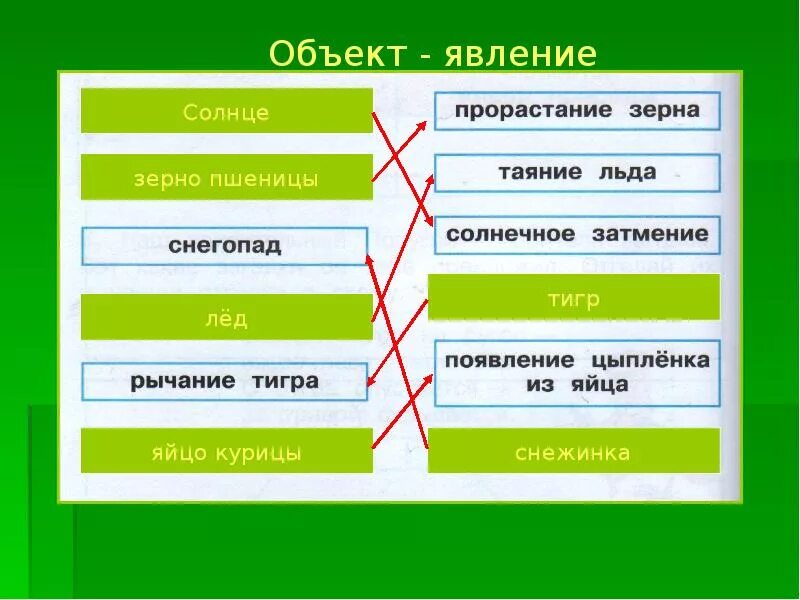 Приведи примеры явлений живой природы. Объекты природы и явления природы. Объект или явление природы. Объект явление. Объекты и явления природы окружающий мир.