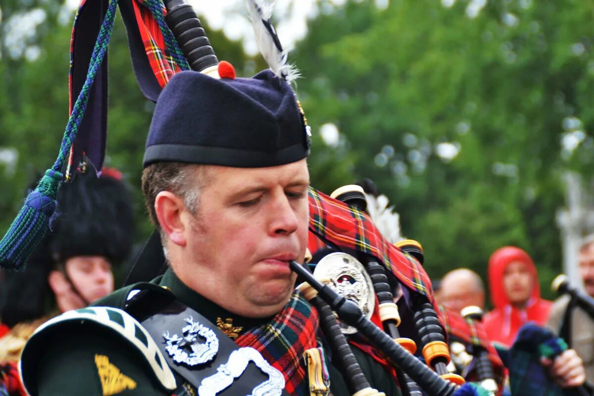 королевский военный оркестр англии. гвардии королевской норвегии оркестр. королевский музыкант. владимир королевский капелла. концерт для растений.